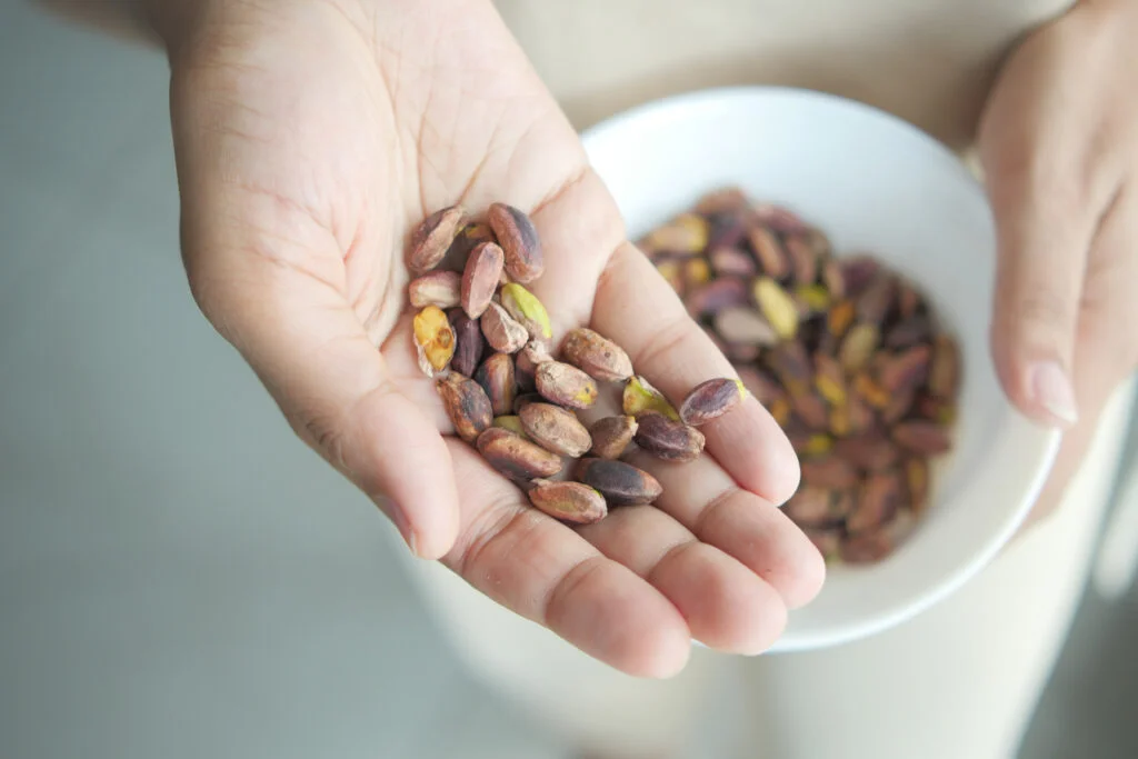 Primer plano de pistachos en mano de cultivador